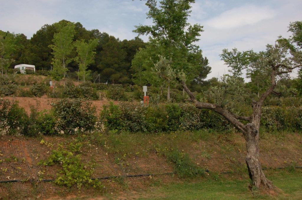 Camping Terra Alta Bot Zewnętrze zdjęcie