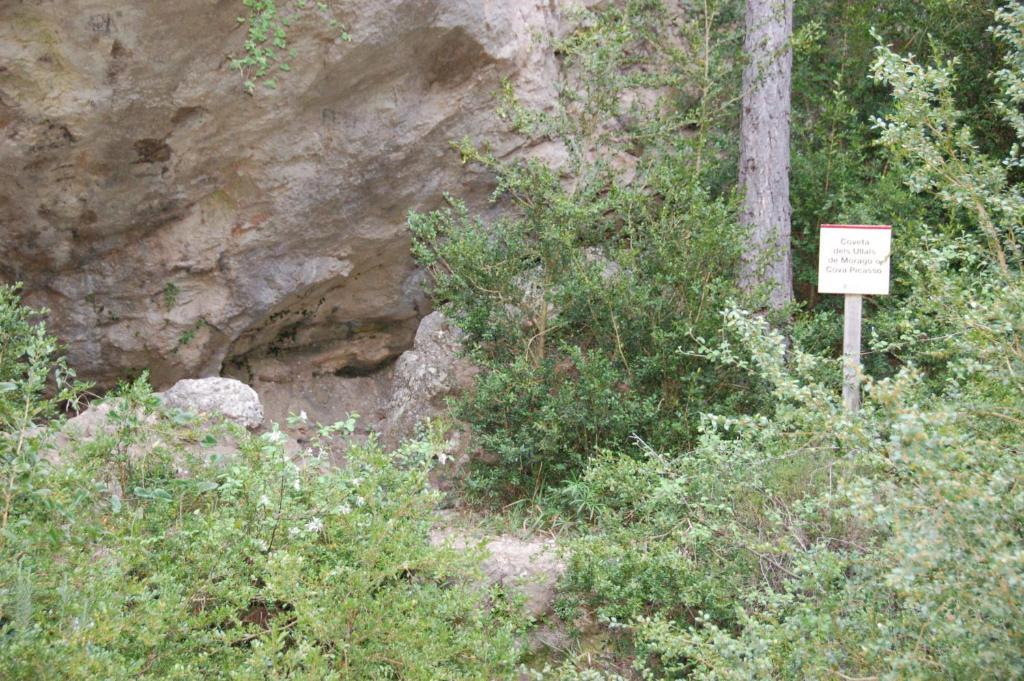 Camping Terra Alta Bot Zewnętrze zdjęcie
